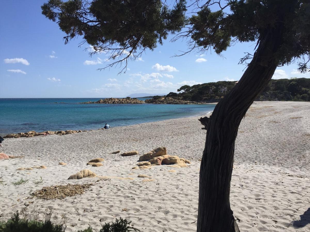 Residence "Il Sestante" Cala Liberotto Exteriér fotografie